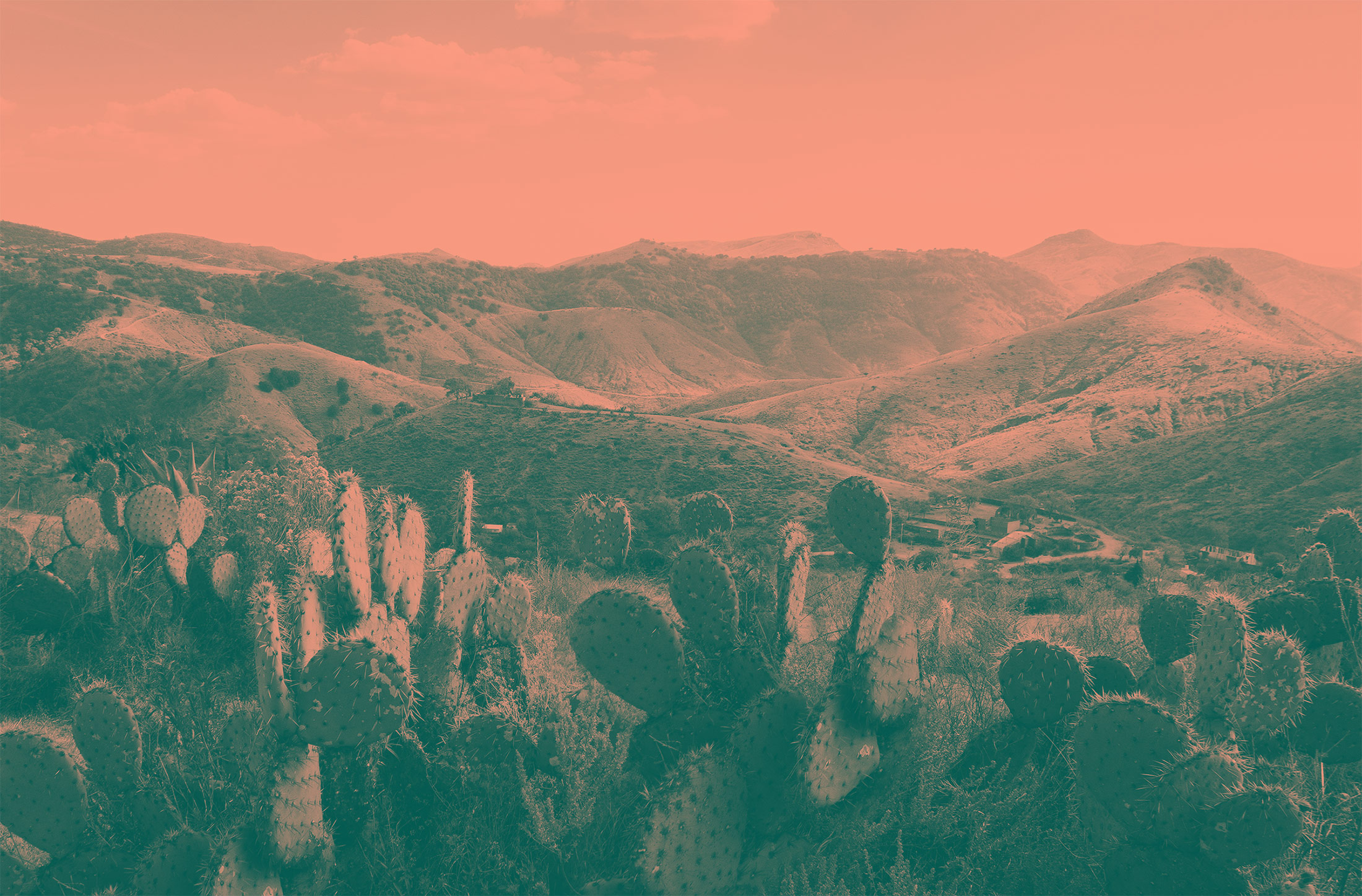 california mexico desert mountains with cactus in the foreground