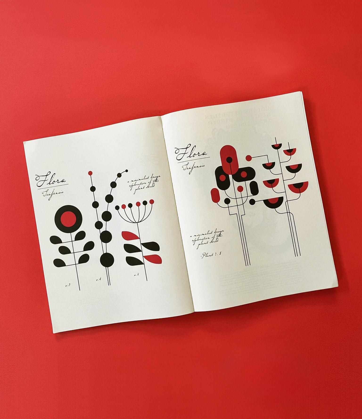 hand holding open spread of 24 ore cultura herbaria magazine with black and red flora illustrations