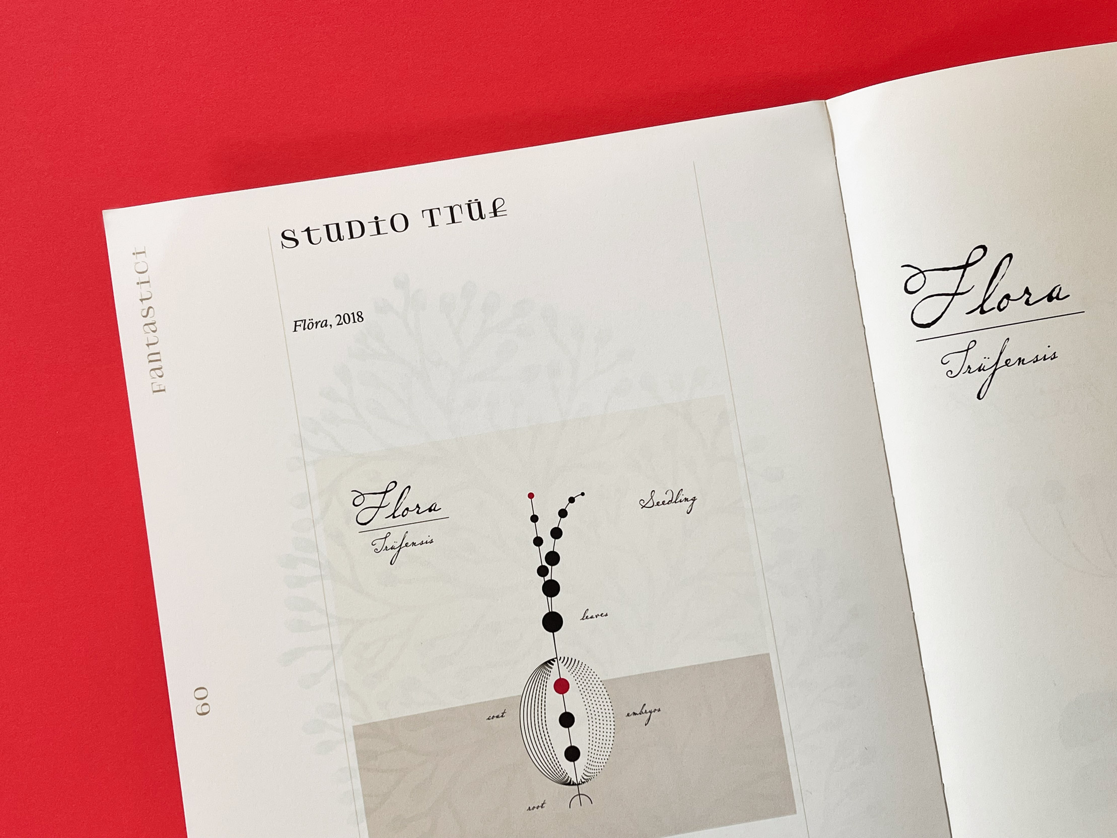 close up of flora illustration in 24 ore cultura herbaria magazine