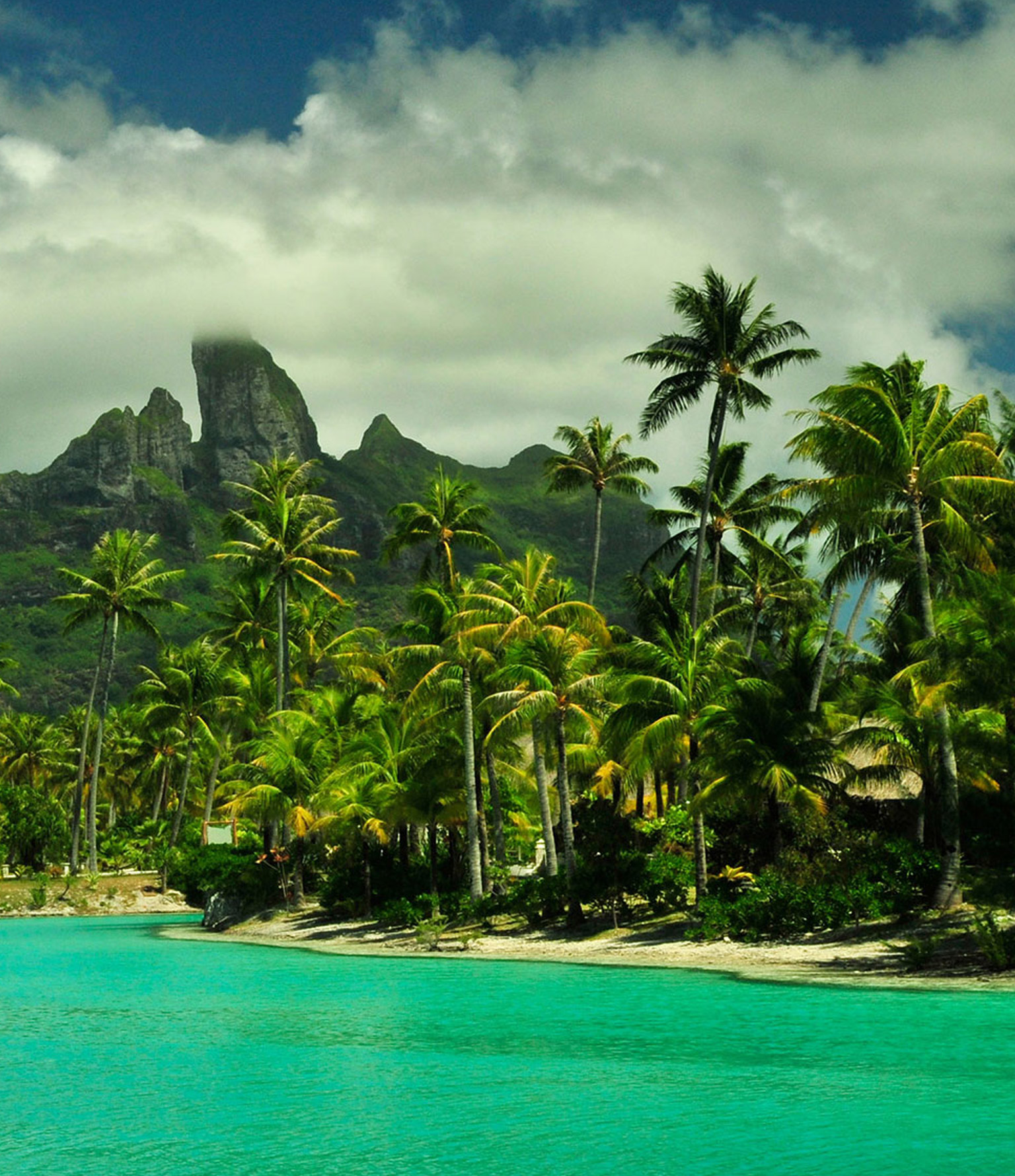 tahiti.com,tahiti.com brand identity,tahiti.com website design,travel brand identity